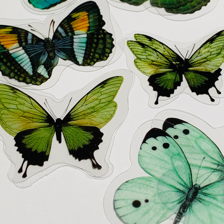 GREEN BUTTERFLY NATURE Series Transparent Peelable Stickers ~ 40 Stickers - 40 to 50mm In Size