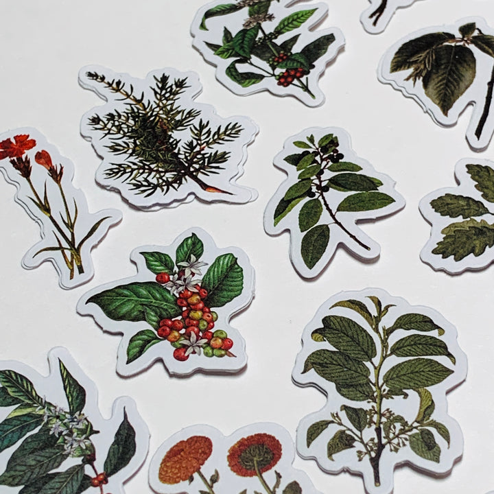 GREEN LEAF STORY FOREST ADVENTURE WILDFLOWERS Peelable Stickers  ~ 50 Pieces ~ 45mm Each