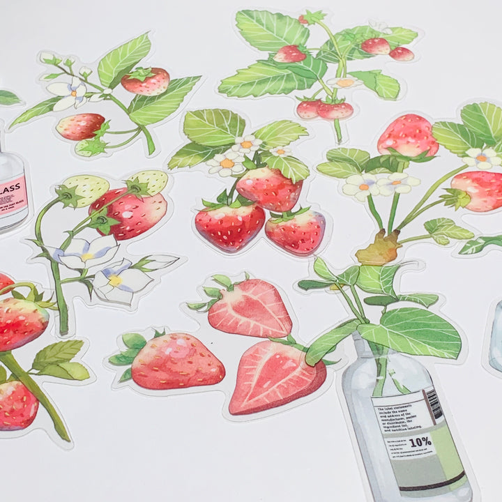 STRAWBERRY PLANTS & THEIR CARE Transparent Peelable Sticker Ephemera Pack ~ 10 Large Stickets ~ Approx  152 x 90 mm Each