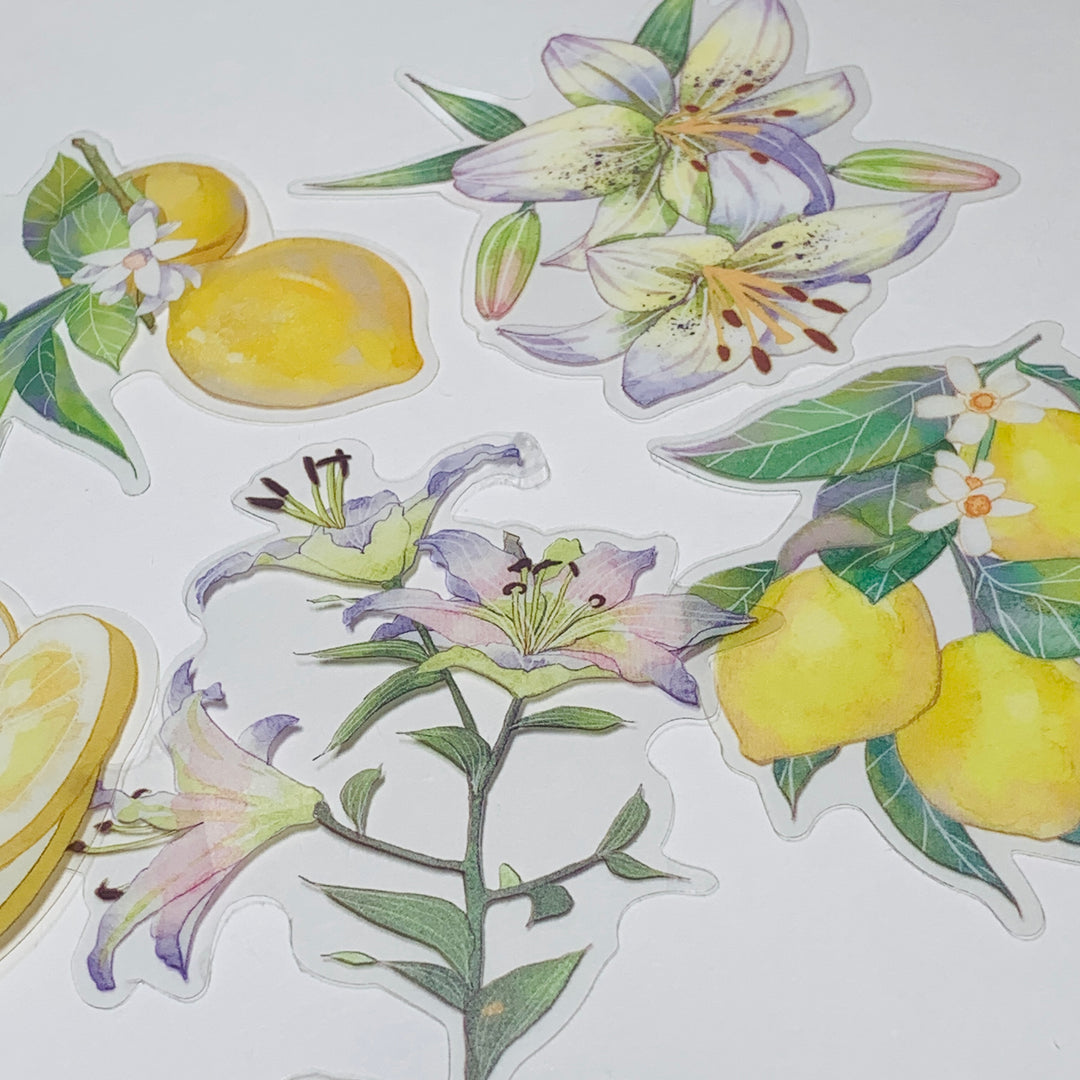 LEMON TREE SLICES & ORCHIDS Transparent Peelable Sticker Ephemera Pack ~ 10 Large Stickets ~ Approx  152 x 90 mm Each