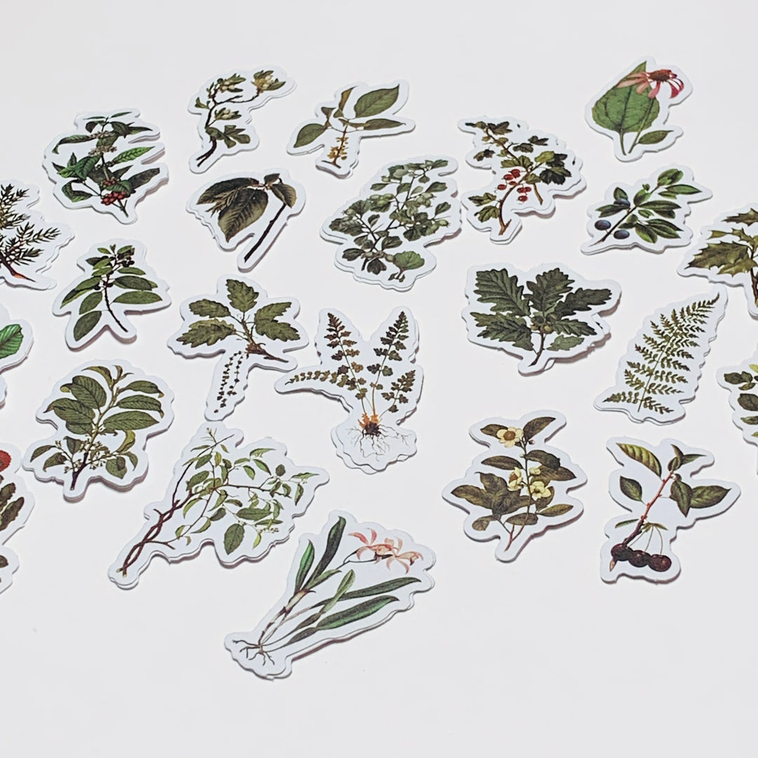 GREEN LEAF STORY FOREST ADVENTURE WILDFLOWERS Peelable Stickers  ~ 50 Pieces ~ 45mm Each