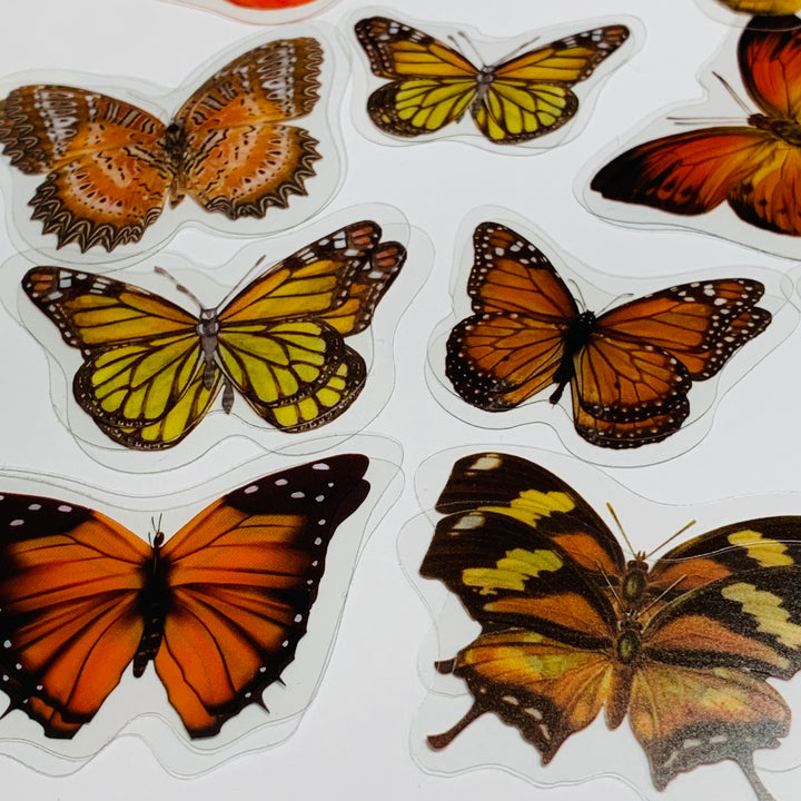 ORANGE BUTTERFLY NATURE Series Transparent Peelable Stickers ~ 40 Stickers - 40 to 50mm In Size