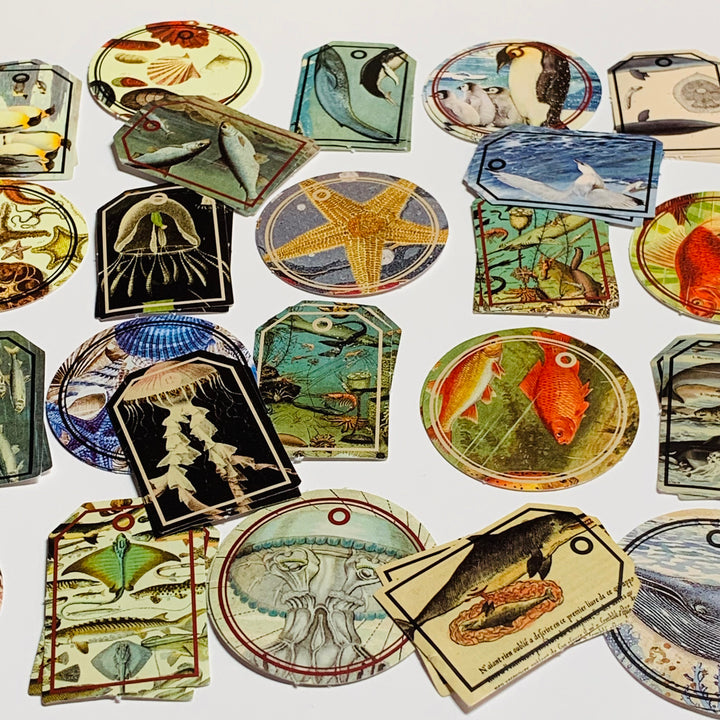 MARINE OCEAN LIFE FAUX TAG Peelable Stickers  ~ 46 Pieces ~ 44mm