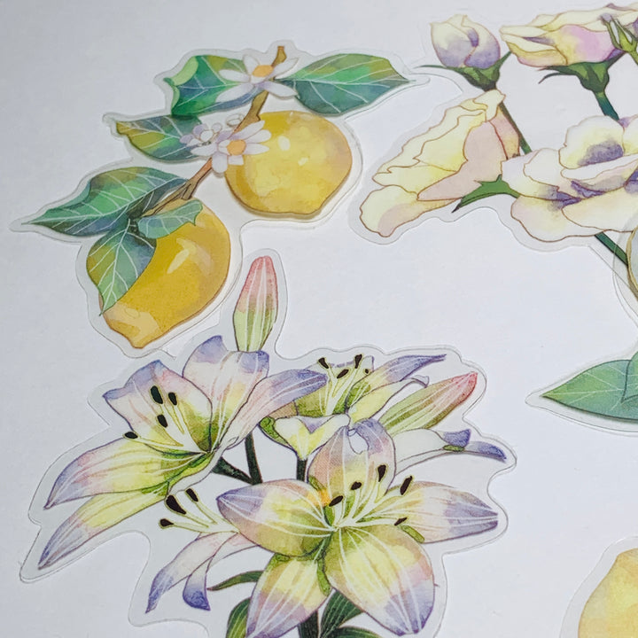 LEMON TREE SLICES & ORCHIDS Transparent Peelable Sticker Ephemera Pack ~ 10 Large Stickets ~ Approx  152 x 90 mm Each