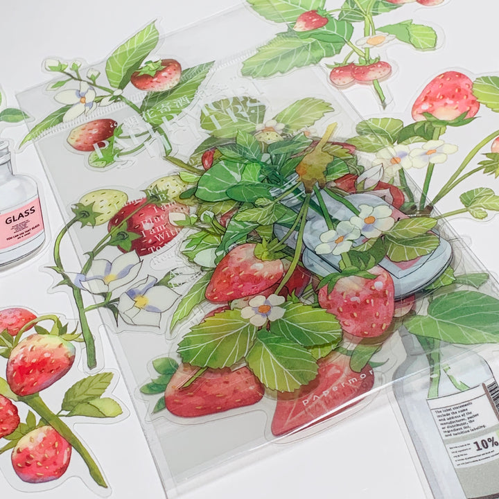 STRAWBERRY PLANTS & THEIR CARE Transparent Peelable Sticker Ephemera Pack ~ 10 Large Stickets ~ Approx  152 x 90 mm Each