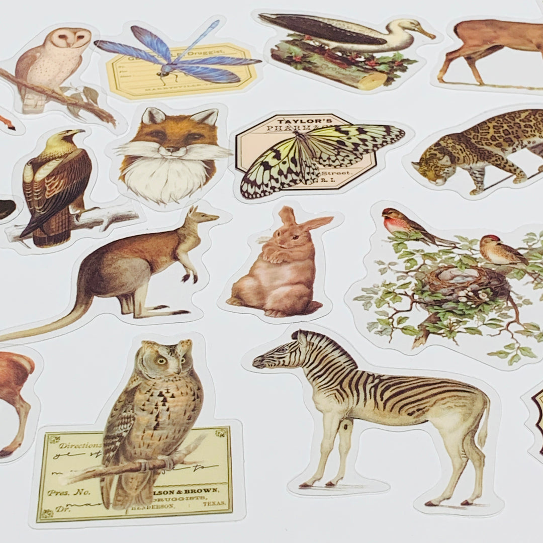 WILD ANIMAL KINGDOM Peelable Stickers Pack ~ 40 Pieces ~ 85-105mm