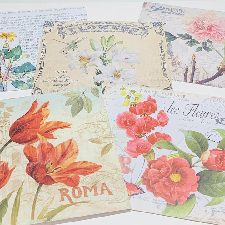 FLOWER POWER GARDEN Vellum & Designed Ephemera Paper Pack ~ 15 Sheets ~ Size 5 x 5 Inches