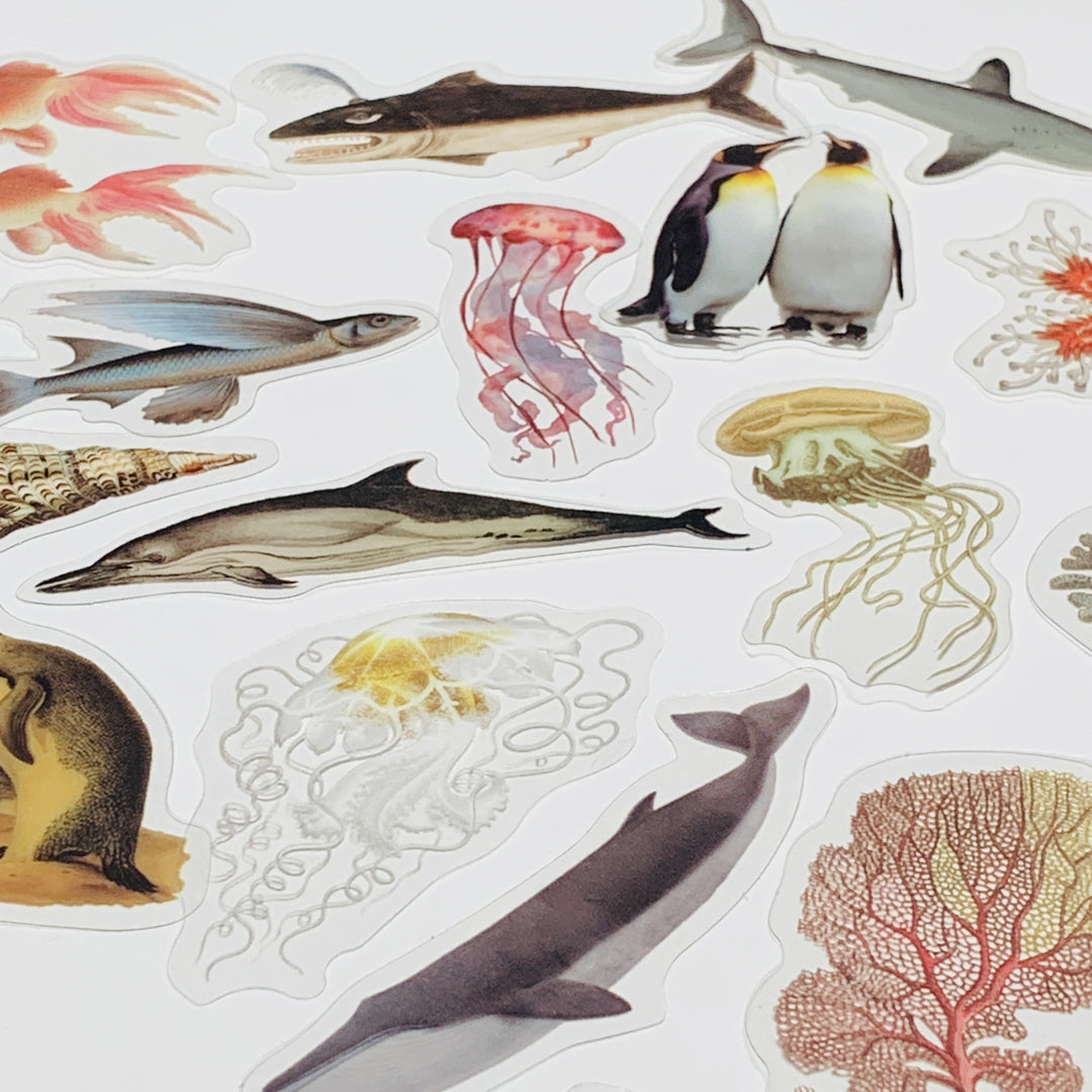 OCEAN LIFE OCTOPUS PENGUINS SHARKS Peelable Stickers Pack ~ 40 Pieces ~ 85-105mm