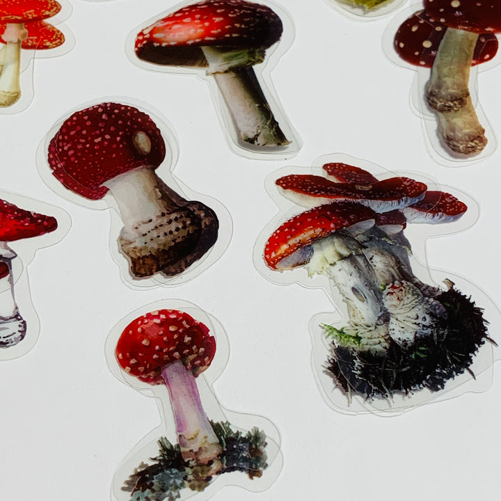 MUSHROOM COLLECTION Peelable Sticker Ephemera Pack ~ 40 Pieces, Each Sticker 40-60mm