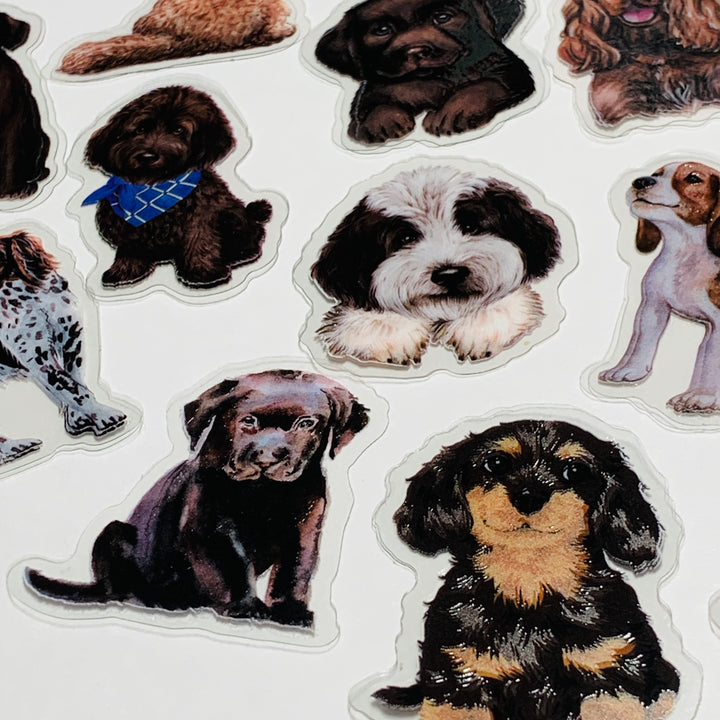 FAVORITE MAN'S BEST FRIEND DOG Sticker Flakes Stickers ~ 30 Pieces ~ Approximately 50mm Each