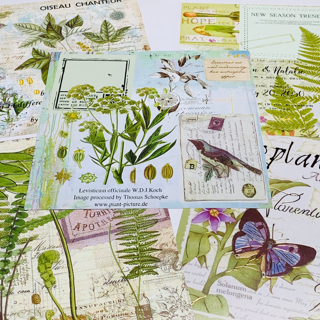 BOTANICAL FLORA & FAUNA Vellum & Designed Ephemera Paper Pack ~ 15 Sheets ~ Size 5 x 5 Inches