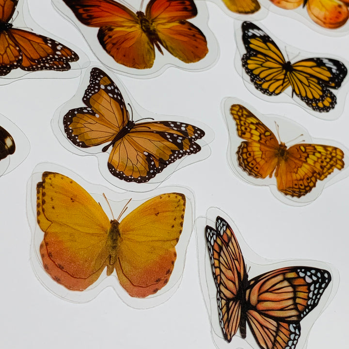 ORANGE BUTTERFLY NATURE Series Transparent Peelable Stickers ~ 40 Stickers - 40 to 50mm In Size