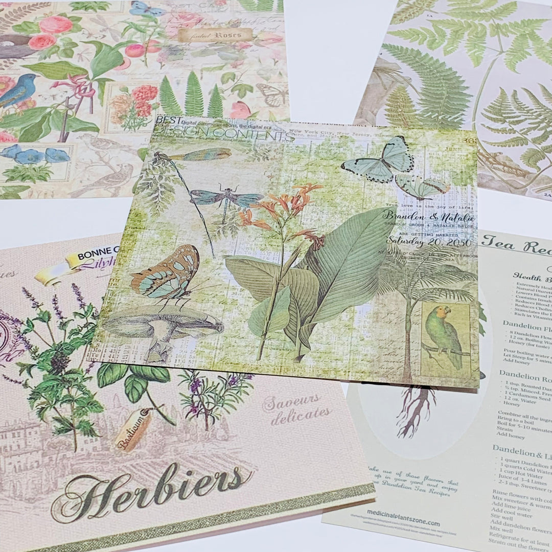 BOTANICAL FLORA & FAUNA Vellum & Designed Ephemera Paper Pack ~ 15 Sheets ~ Size 5 x 5 Inches