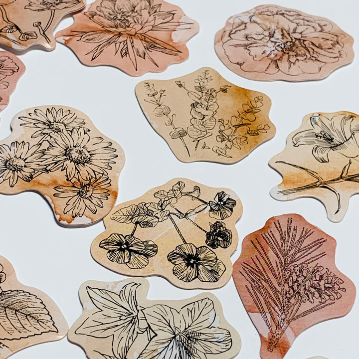 TEA-STAINED DOODLED FLOWERS Peelable Stickers  ~ 46 Pieces ~ Each Sticker is 44mm