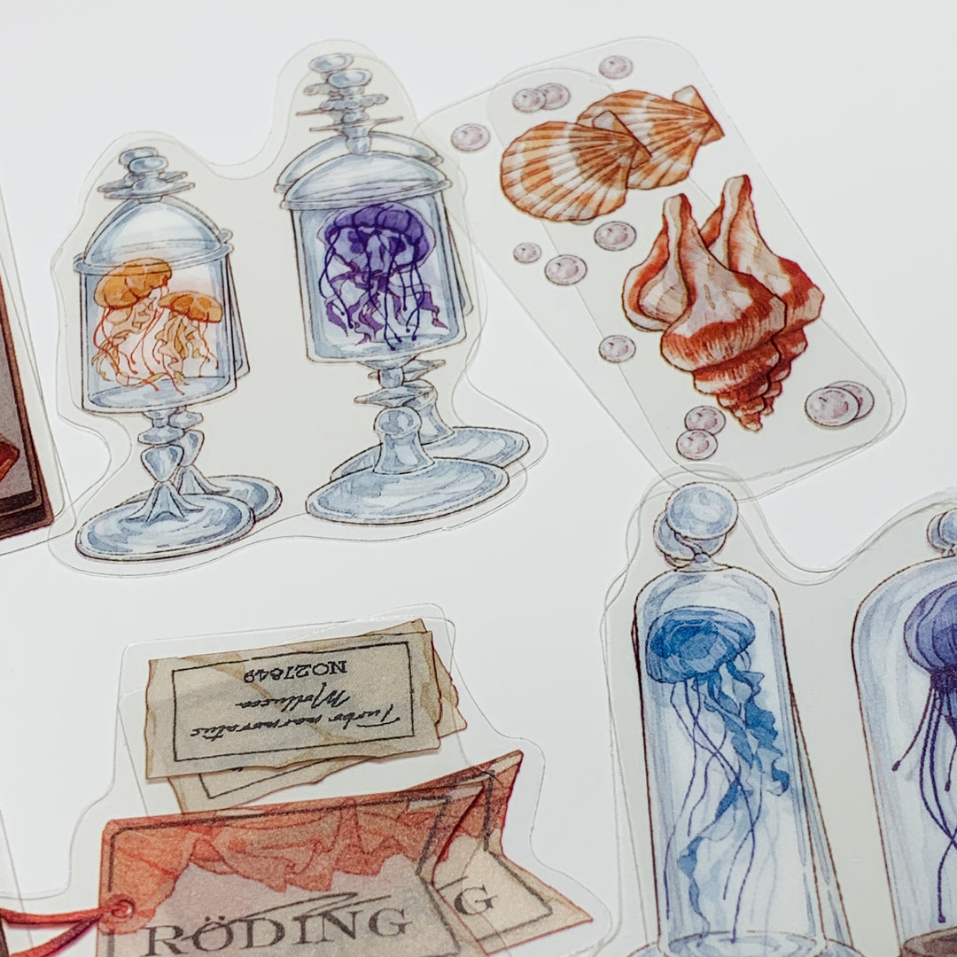 JELLYFISH & SEA SHELL COLLECTION Transparent Peelable Sticker Pack ~ 40 Pieces ~ 85-115 mm Each