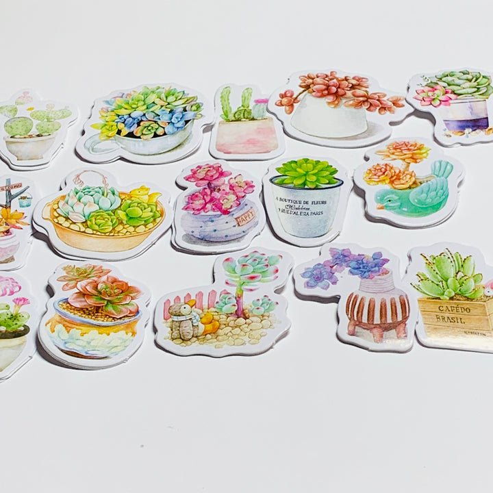 GORGEOUS GREEN & RAINBOW SUCCULENTS Peelable Stickers  ~ 45 Pieces ~ Approximately 40mm