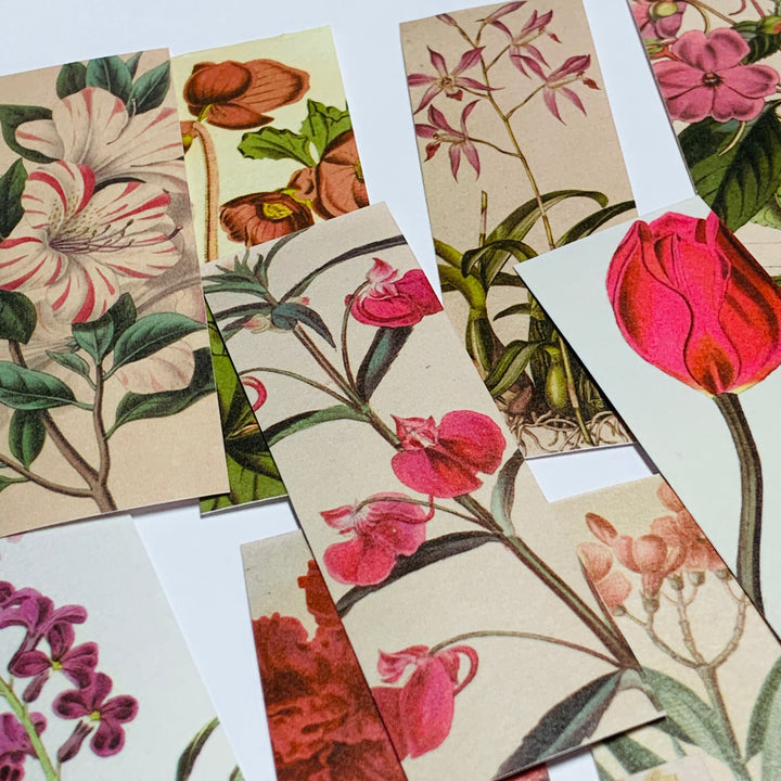 RETRO ILLUSTRATED FLORAL Sticker Sheets Stack ~ 50 Sticker Strips ~ 1 x 3 Inches