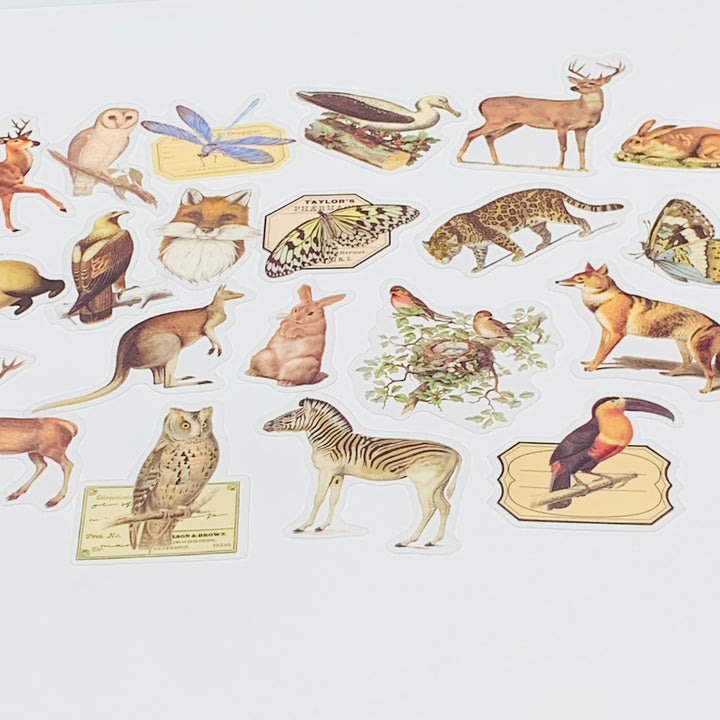 WILD ANIMAL KINGDOM Peelable Stickers Pack ~ 40 Pieces ~ 85-105mm