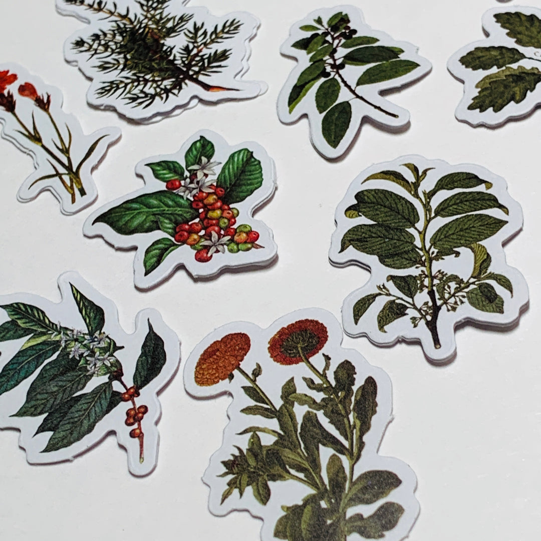 GREEN LEAF STORY FOREST ADVENTURE WILDFLOWERS Peelable Stickers  ~ 50 Pieces ~ 45mm Each