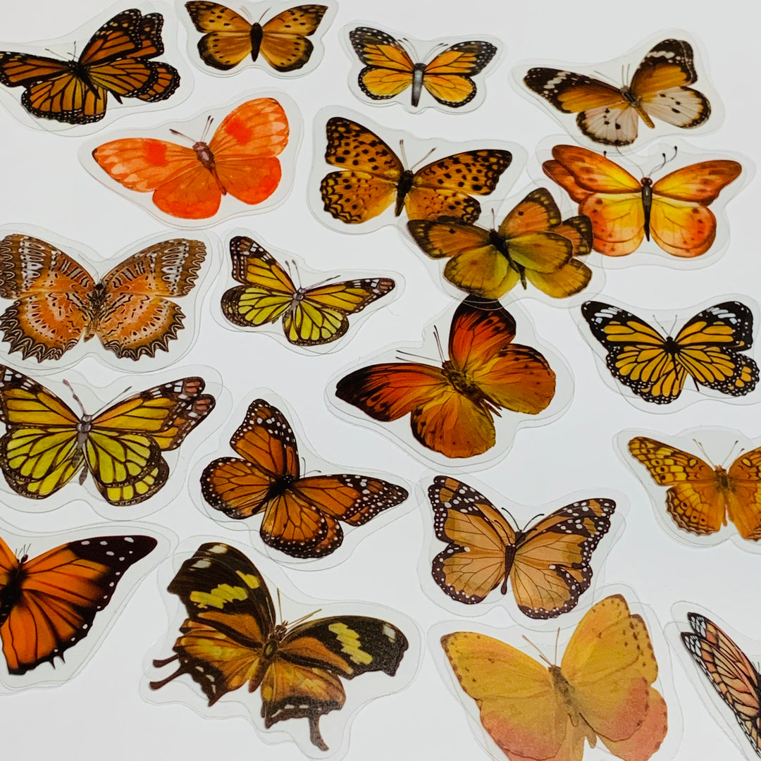 ORANGE BUTTERFLY NATURE Series Transparent Peelable Stickers ~ 40 Stickers - 40 to 50mm In Size