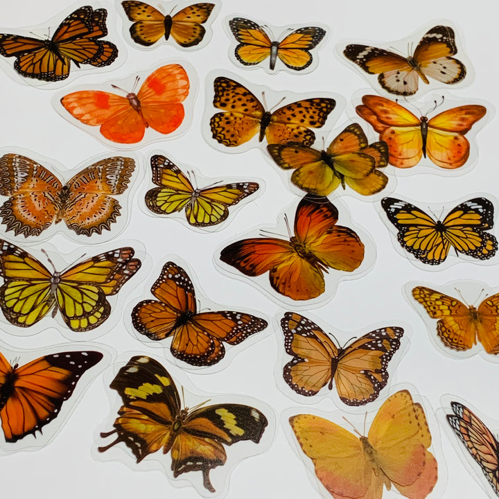 ORANGE BUTTERFLY NATURE Series Transparent Peelable Stickers ~ 40 Stickers - 40 to 50mm In Size