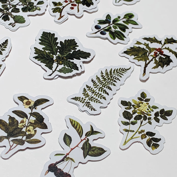 GREEN LEAF STORY FOREST ADVENTURE WILDFLOWERS Peelable Stickers  ~ 50 Pieces ~ 45mm Each