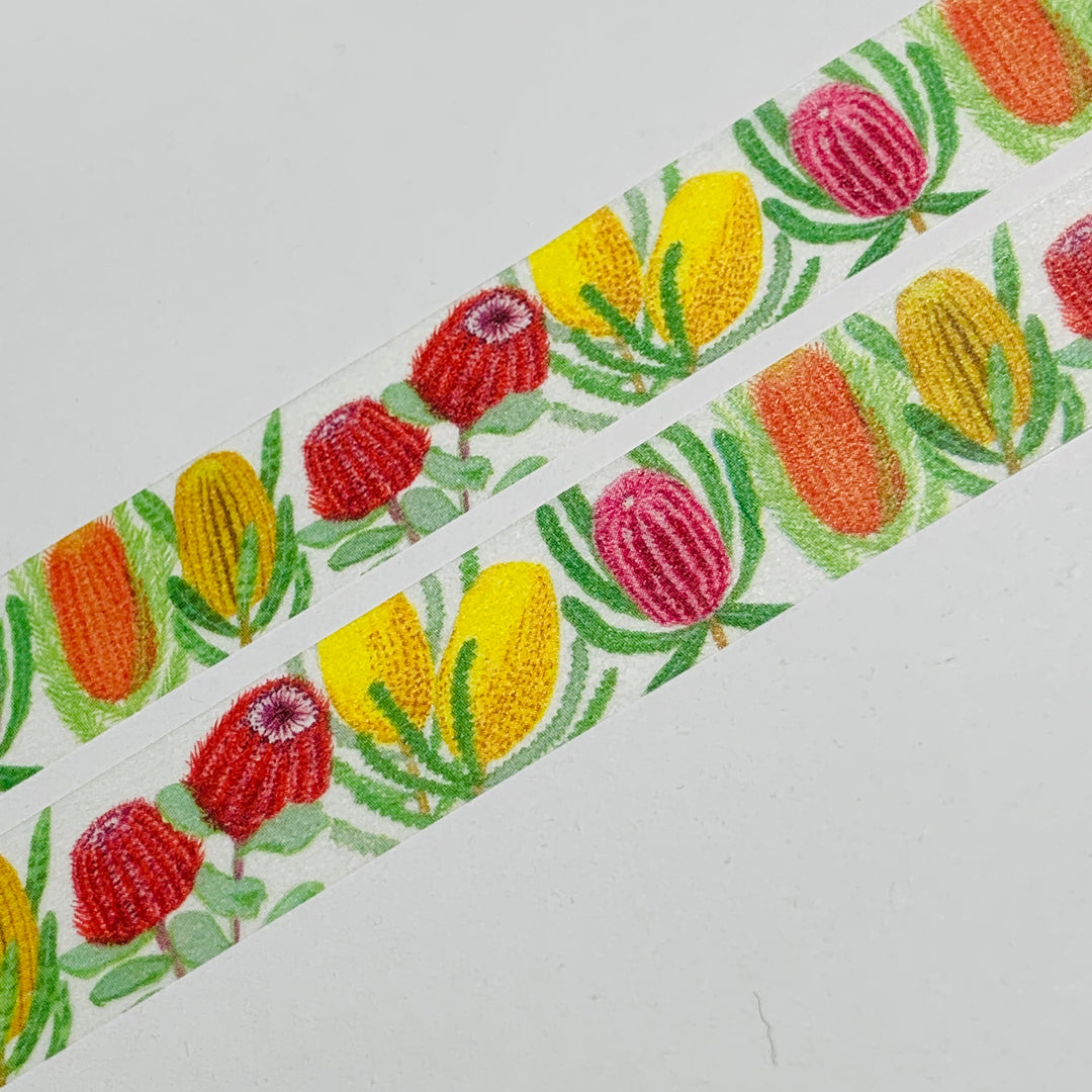 SPIKY AUSTRALIAN BANKSIA Flowers Saien Masking Washi Tape ~ 1 Roll ~ 15mm x 10m (33 Feet)