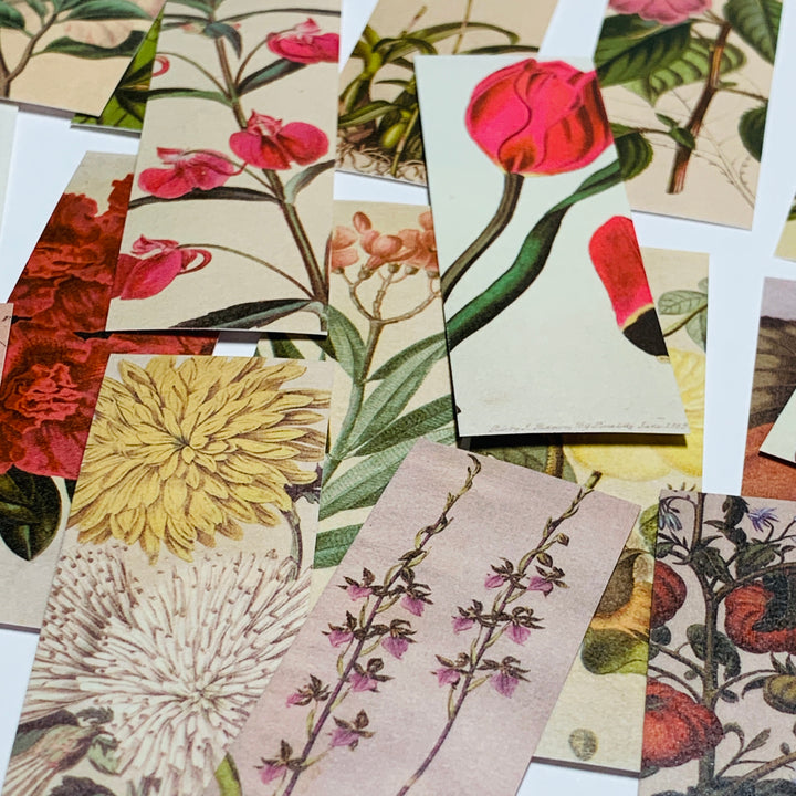 RETRO ILLUSTRATED FLORAL Sticker Sheets Stack ~ 50 Sticker Strips ~ 1 x 3 Inches