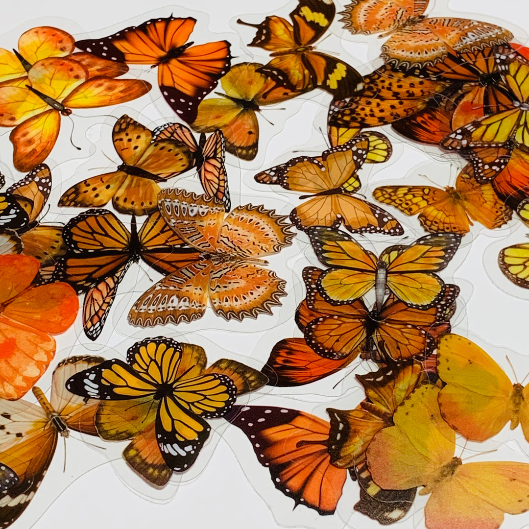 ORANGE BUTTERFLY NATURE Series Transparent Peelable Stickers ~ 40 Stickers - 40 to 50mm In Size