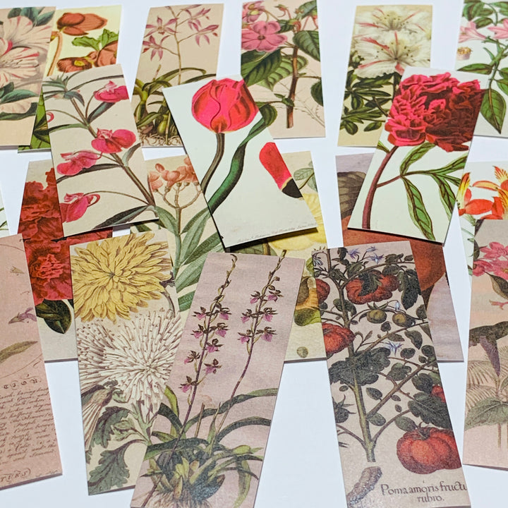 RETRO ILLUSTRATED FLORAL Sticker Sheets Stack ~ 50 Sticker Strips ~ 1 x 3 Inches