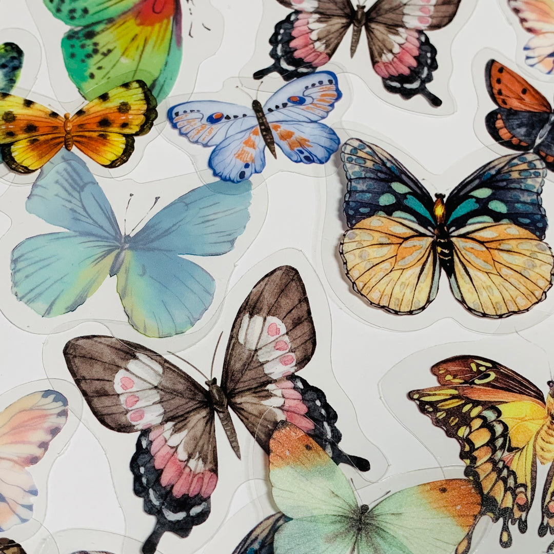 RAINBOW BUTTERFLY NATURE Series Transparent Peelable Stickers ~ 40 Stickers - 40 to 50mm In Size