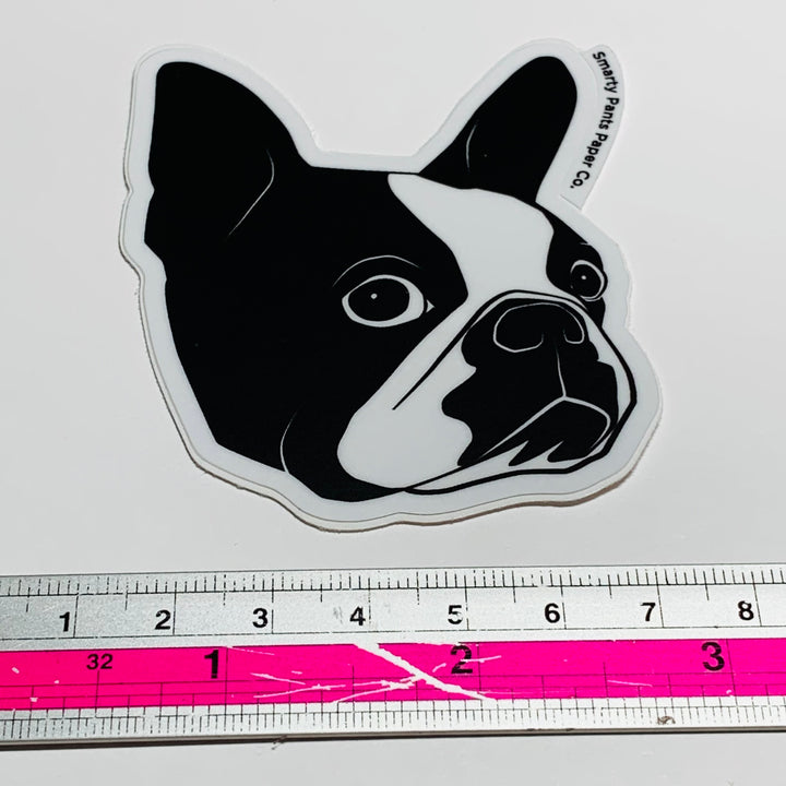 BOSTON TERRIER POP CULTURE Smarty Pants Vinyl Sticker ~ 1 Piece ~ 2.5 x 3 Inches