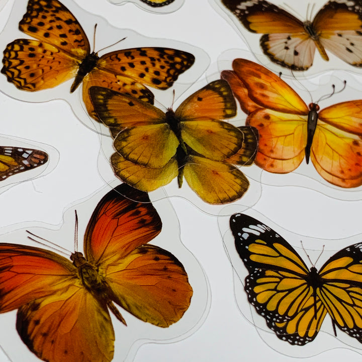 ORANGE BUTTERFLY NATURE Series Transparent Peelable Stickers ~ 40 Stickers - 40 to 50mm In Size